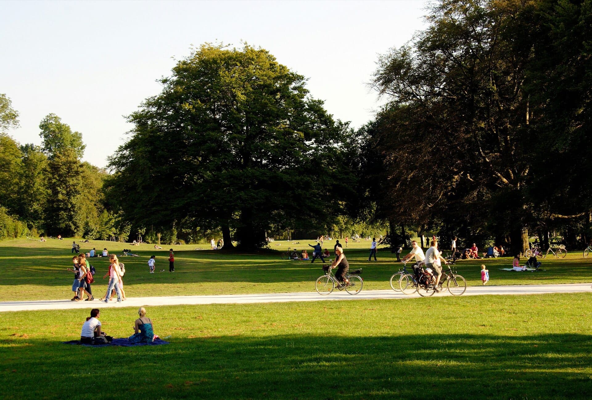 Open lawns of Fort Greene Park